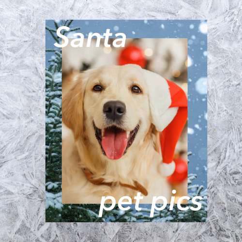 Pet Pics with Santa