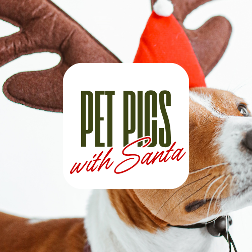 Pet Pics with Santa